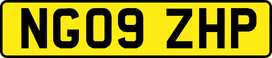 NG09ZHP