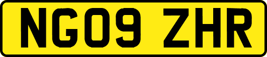NG09ZHR