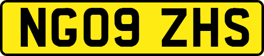 NG09ZHS