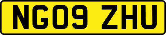NG09ZHU