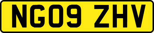 NG09ZHV