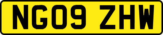 NG09ZHW