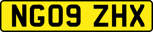 NG09ZHX