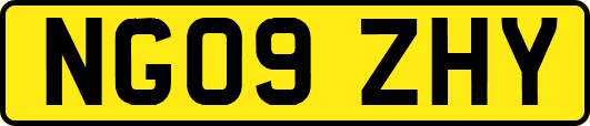 NG09ZHY