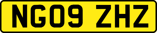 NG09ZHZ