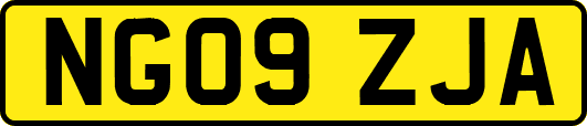 NG09ZJA