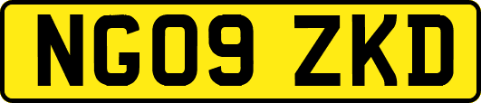 NG09ZKD