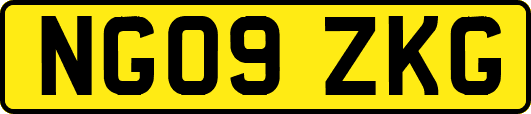 NG09ZKG