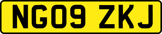 NG09ZKJ