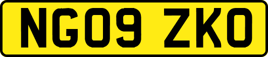 NG09ZKO