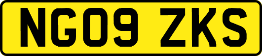 NG09ZKS