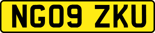 NG09ZKU