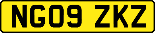 NG09ZKZ