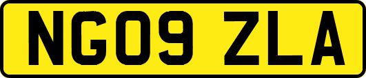 NG09ZLA