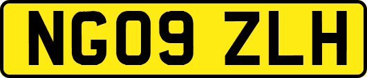 NG09ZLH