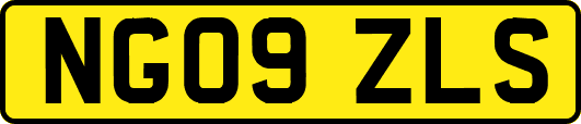 NG09ZLS