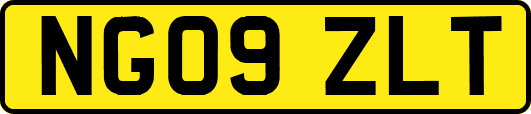 NG09ZLT