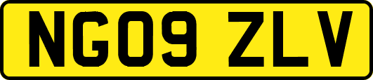 NG09ZLV
