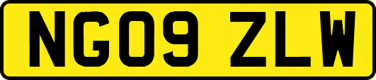 NG09ZLW