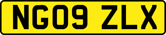 NG09ZLX
