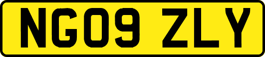 NG09ZLY