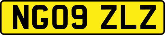 NG09ZLZ