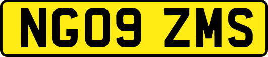 NG09ZMS