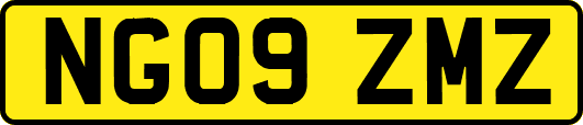 NG09ZMZ