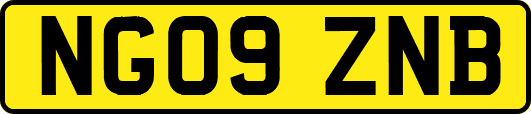 NG09ZNB