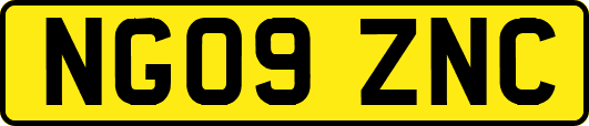 NG09ZNC