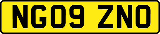 NG09ZNO