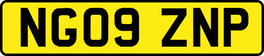 NG09ZNP