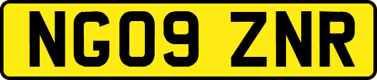 NG09ZNR