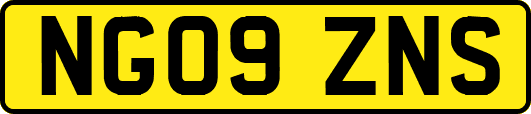NG09ZNS