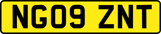 NG09ZNT