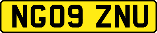 NG09ZNU