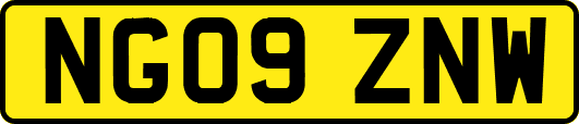 NG09ZNW