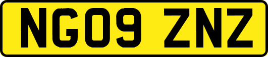 NG09ZNZ