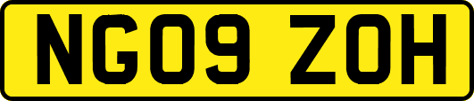 NG09ZOH