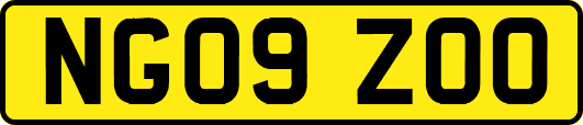 NG09ZOO