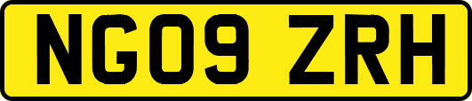 NG09ZRH