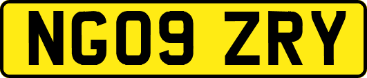 NG09ZRY