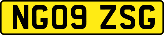 NG09ZSG
