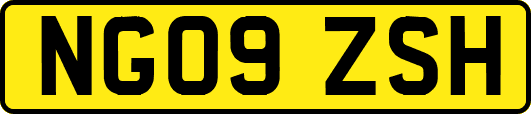 NG09ZSH