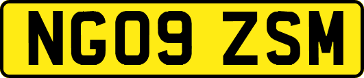 NG09ZSM