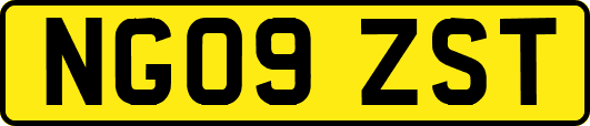 NG09ZST
