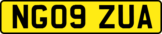 NG09ZUA