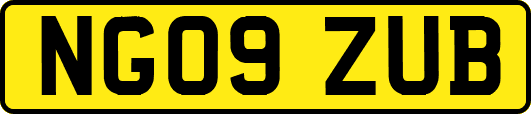 NG09ZUB