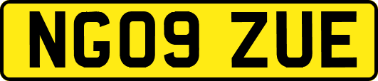 NG09ZUE