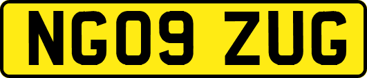 NG09ZUG